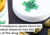 The new federal classification of marijuana regulates only medical use; recreational use is still determined by state laws. tvirbickis/iStock via Getty Images Plus